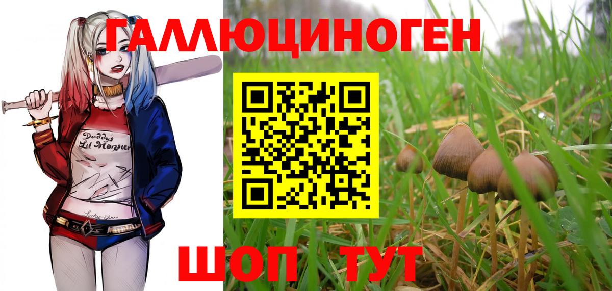 Псилоцибиновые грибы ЛСД Гуково