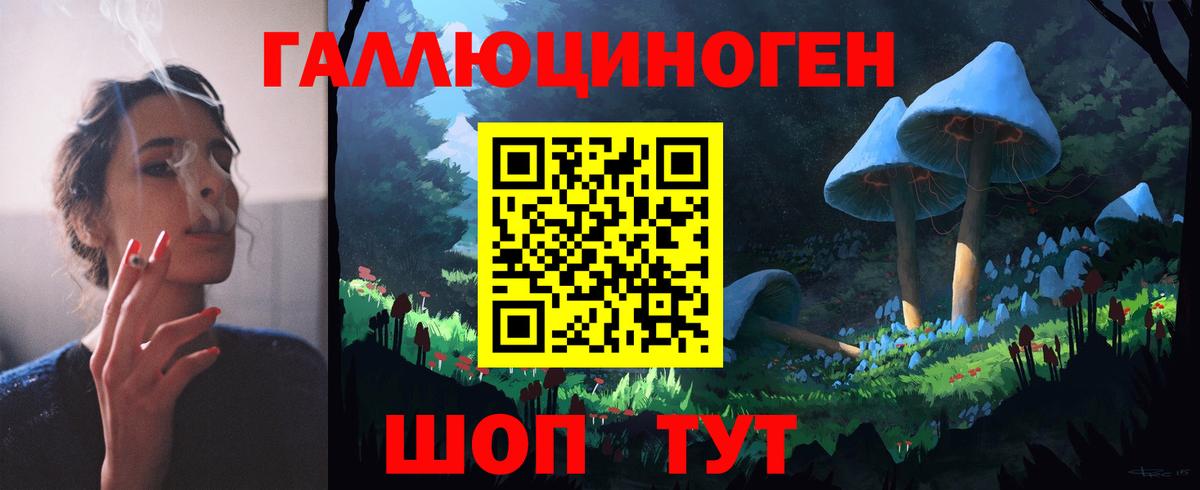 Галлюциногенные грибы Cubensis  Псилоцибиновые грибы MAGIC MUSHROOMS  Гуково  Вход с VPN 